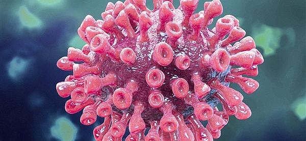 -关于费城76人训练开放日；今晚伤情更新引观众欢呼；意大利杯在即；医务组通报恢复的信息