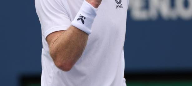 -穆雷迎来二十赛季高光表现，加拿大队球迷沸腾！的简单介绍